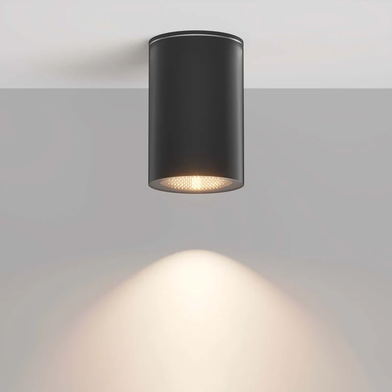 Roll - Spot en saillie étanche en acier, style contemporain