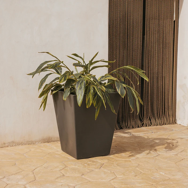 Vaso quadrato CALENDULA 50 Rustica