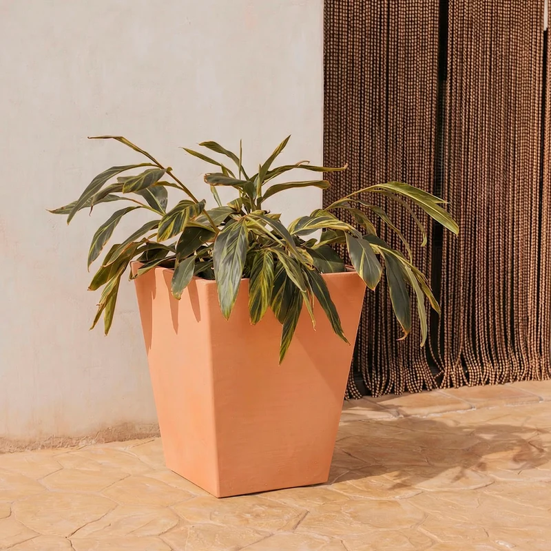 Vaso quadrato CALENDULA 50 Rustica