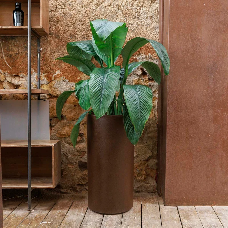 VASO CILINDRICA HORTENSIA 40 HIGH