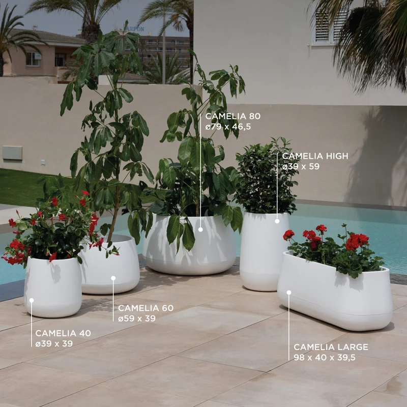 Vaso tondo CAMELIA 60