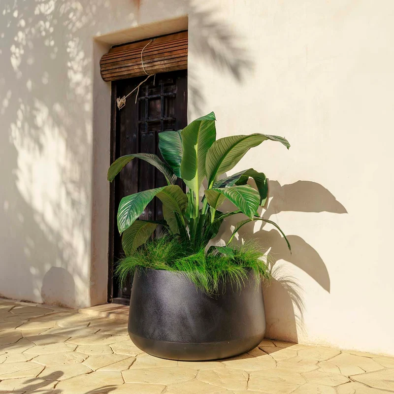 Vaso tondo CAMELIA 80