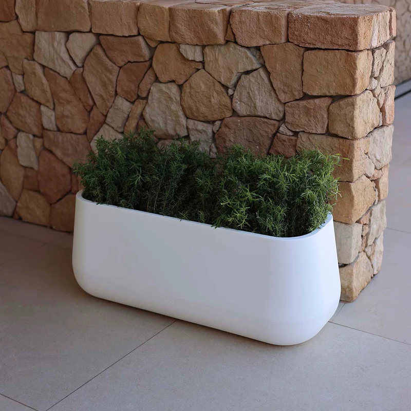 Vaso tondo CAMELIA 60