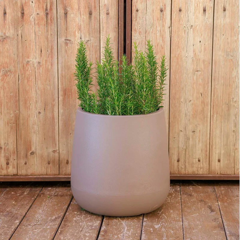 Vaso tondo CAMELIA 60
