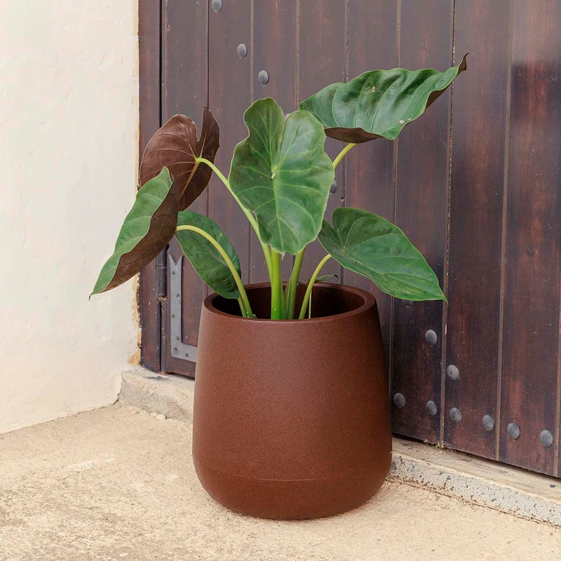 Vaso tondo CAMELIA 40