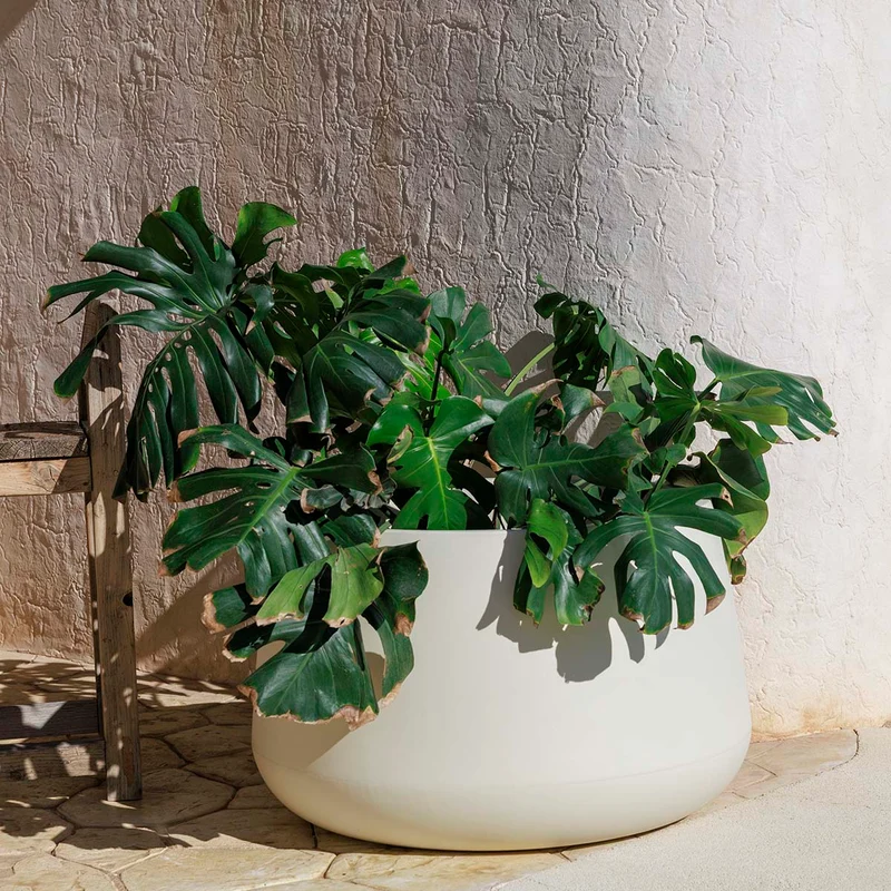 Vaso tondo CAMELIA 60