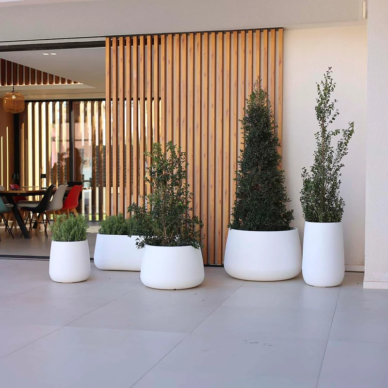 Vaso tondo CAMELIA 60