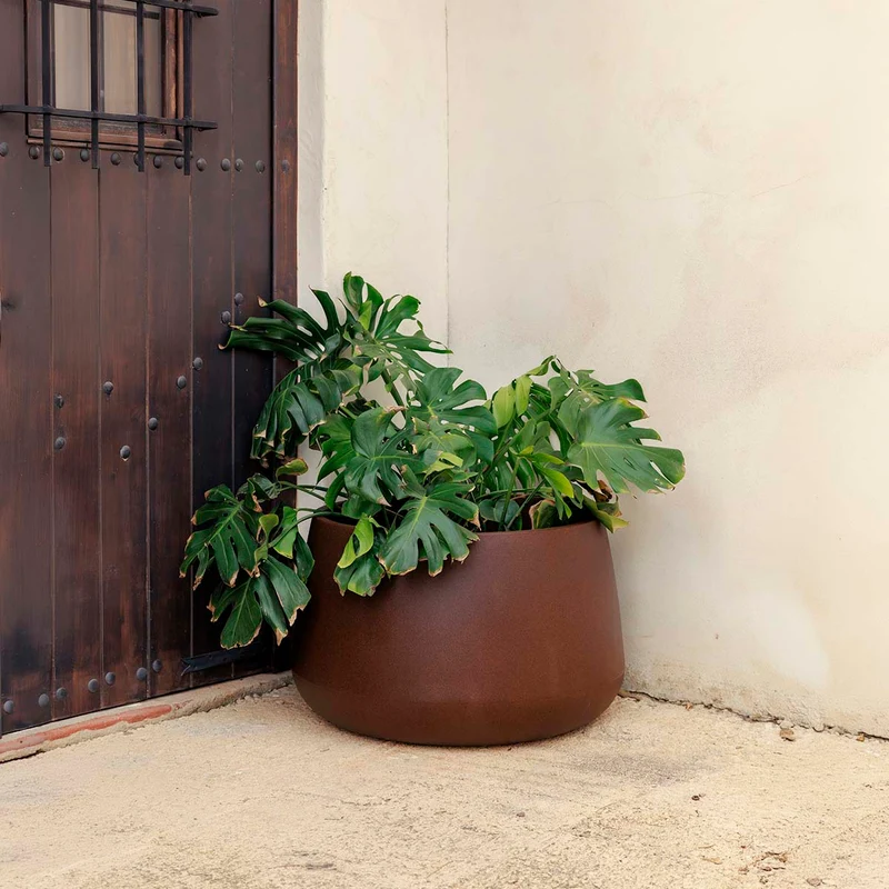 Vaso tondo CAMELIA 60