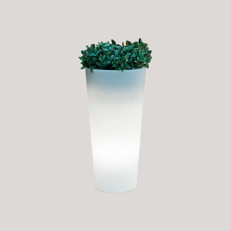 VASO ALTO FICUS 60 CON LUCE