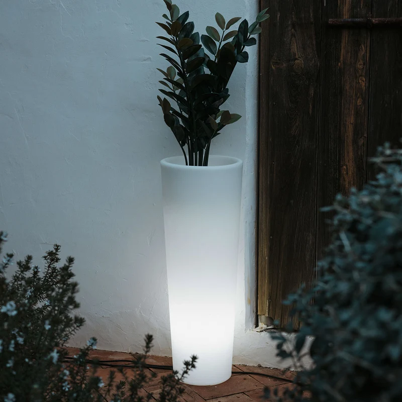 VASO ALTO FICUS 60 CON LUCE