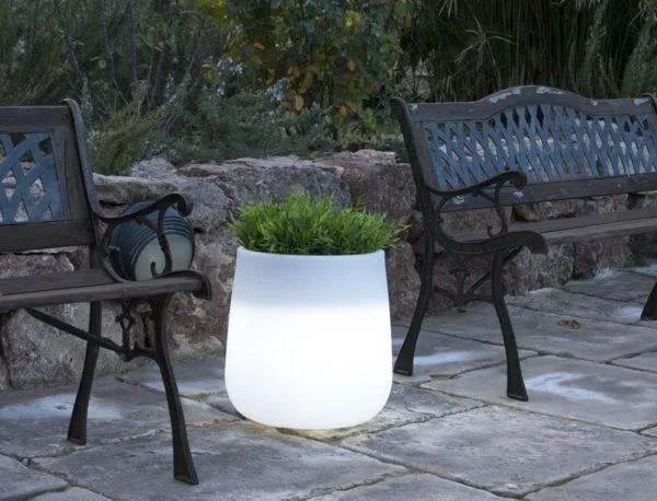 Vaso cilindrico con luce CAMELIA 60