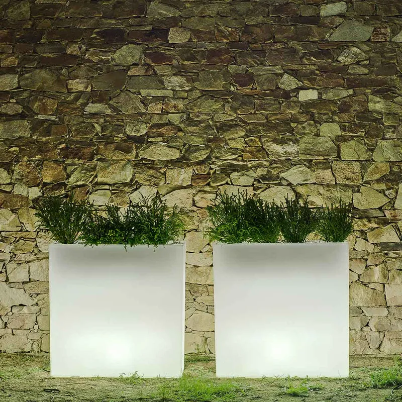 Vaso illuminato JUNCO 80 LUCE
