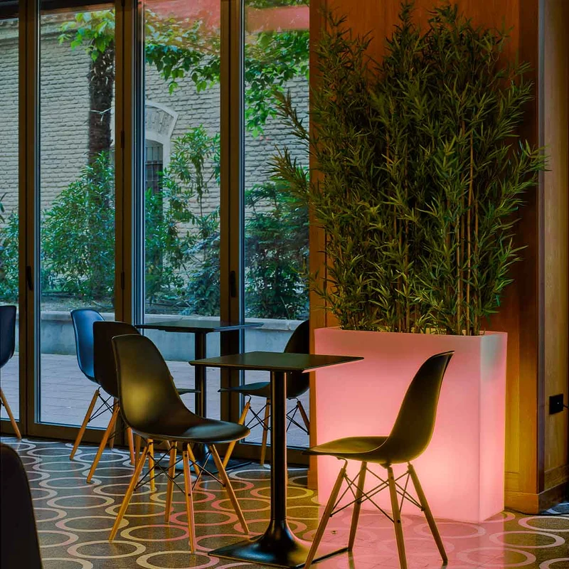 Vaso illuminato JUNCO 80 LUCE