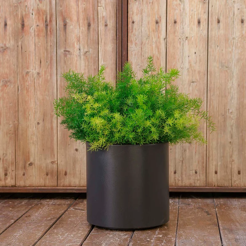 VASO CILINDRICA HORTENSIA 40
