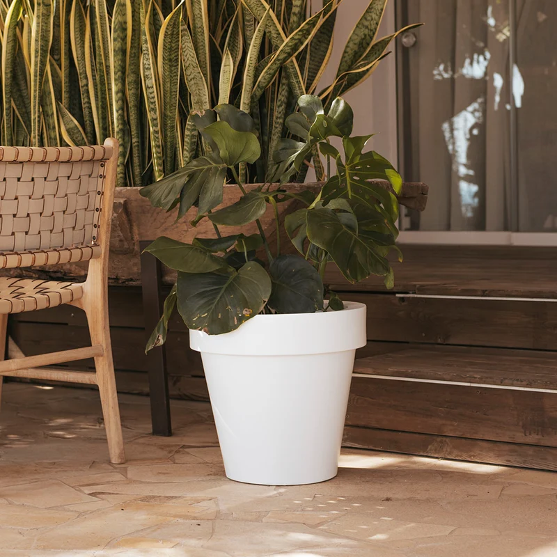Vaso tondo MAGNOLIA 45 CM