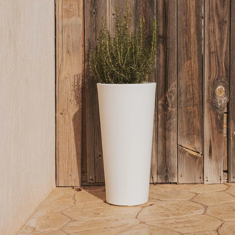 VASO ALTO FICUS 60