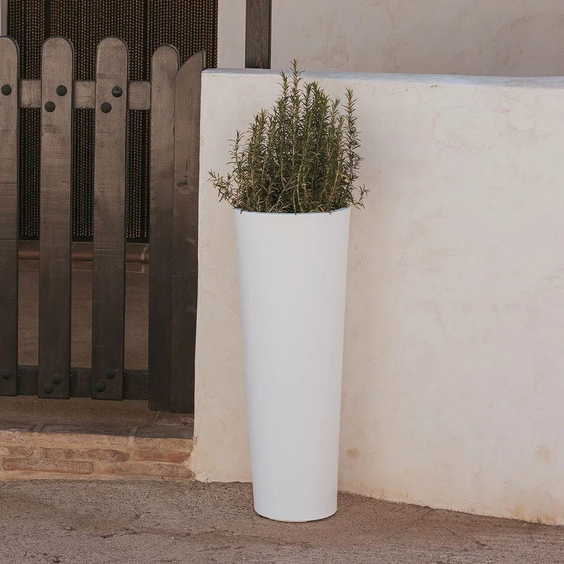 VASO ALTO FICUS 60