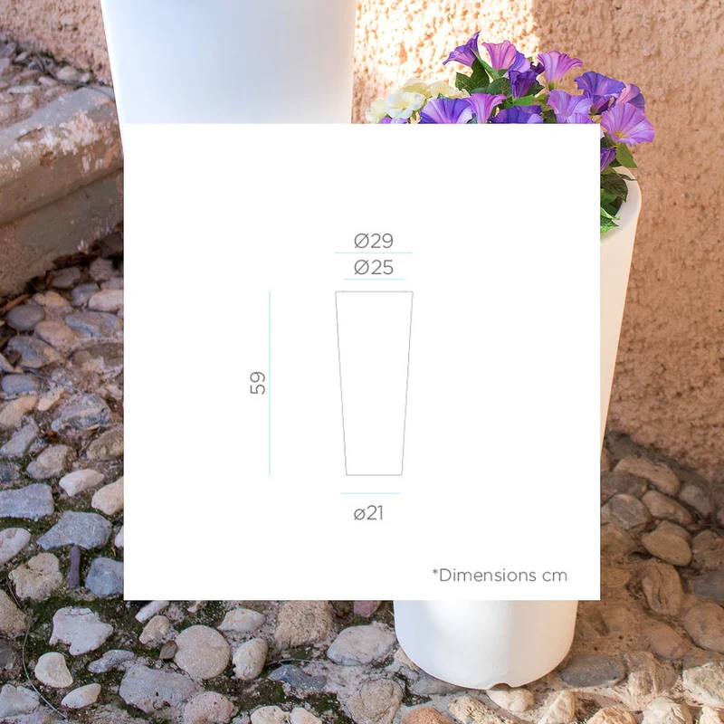 VASO ALTO FICUS 60