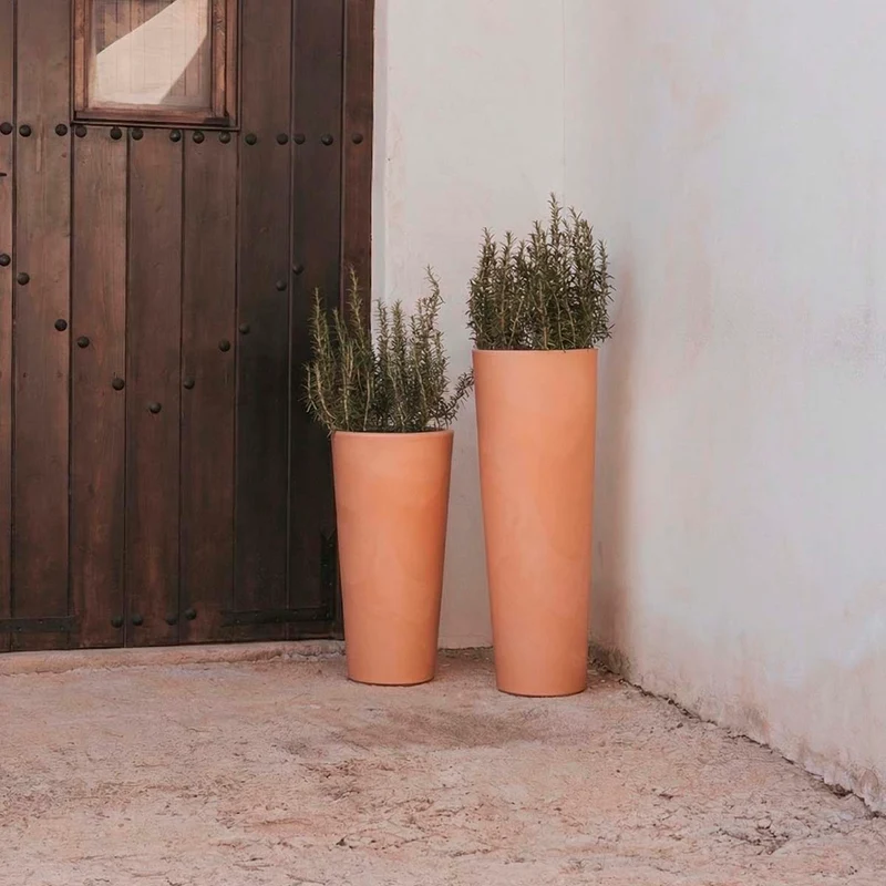 VASO ALTO FICUS 60