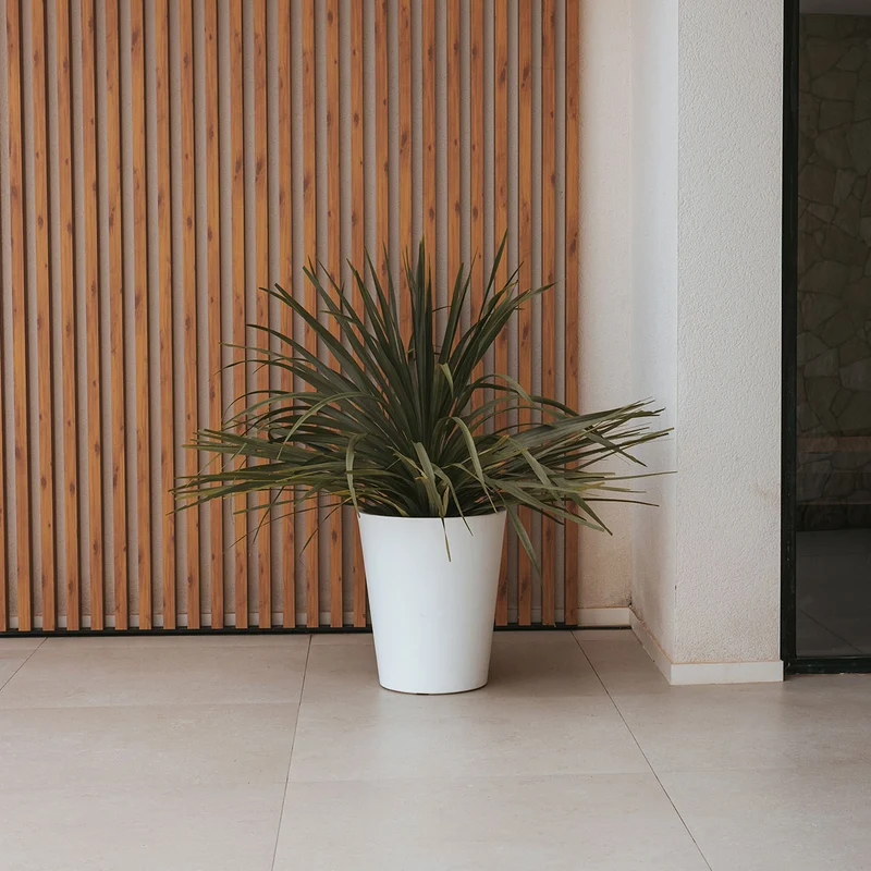 Vaso tondo GERBERA 33