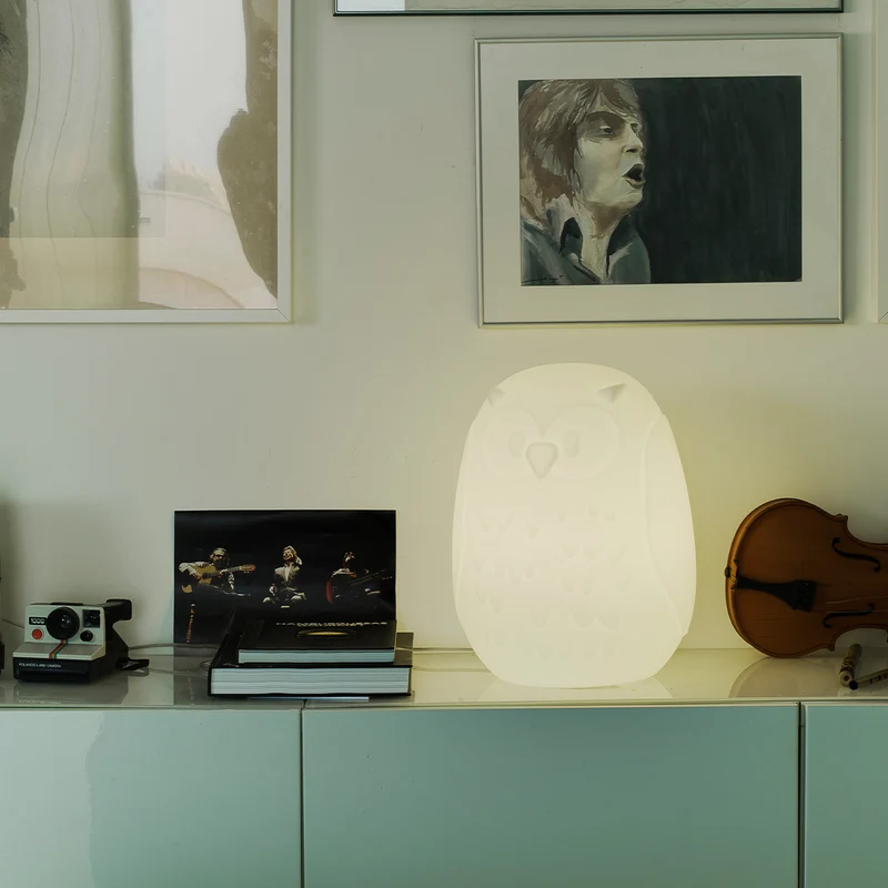 Lampada Decorativo Gufo 40