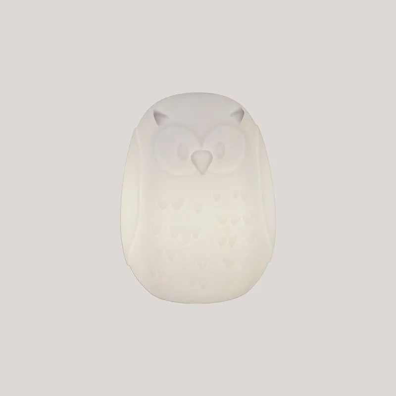 Lampada Decorativo Gufo 40