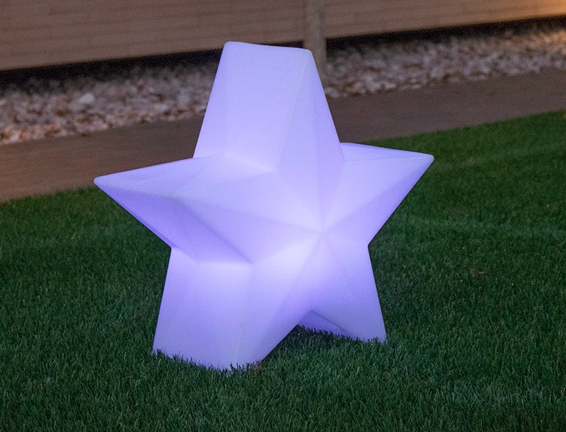 Stella di natale Nova 60