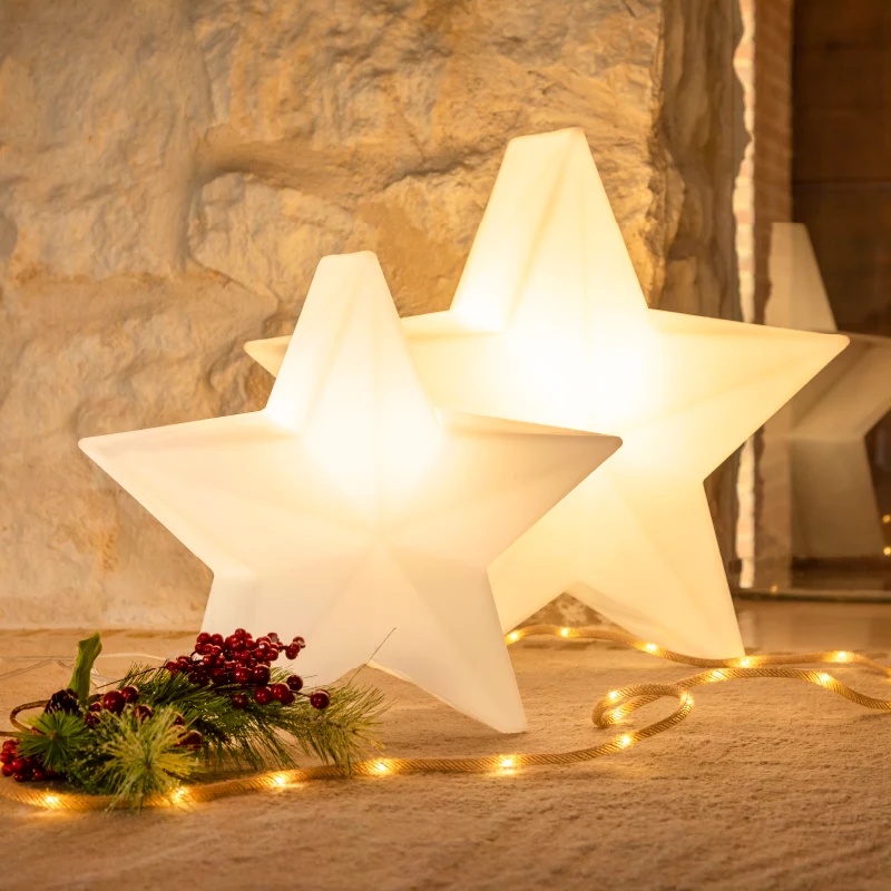 Stella di natale Nova 60