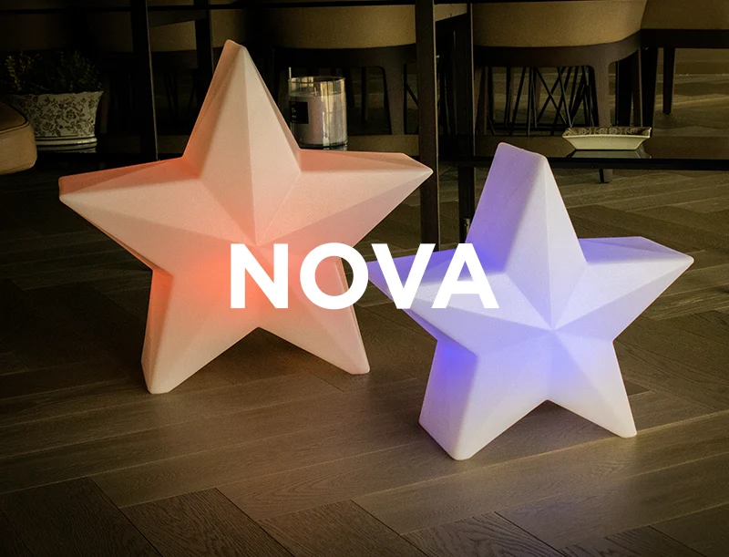 Stella di natale Nova 60