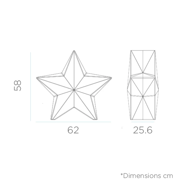 Stella di natale Nova 60