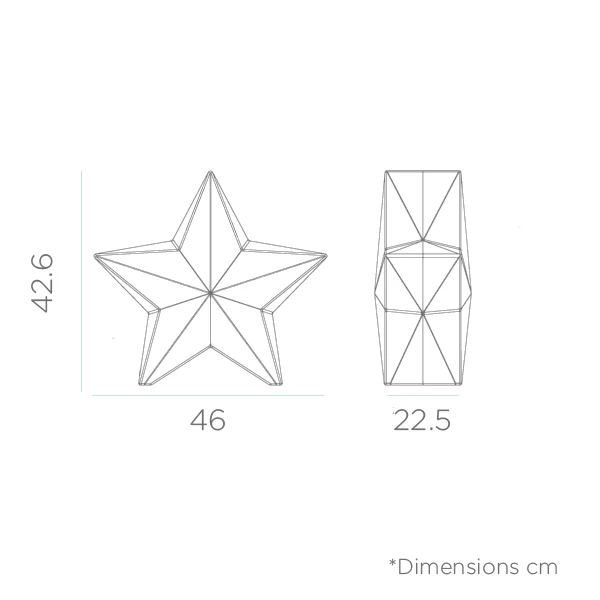Stella di natale Nova 45