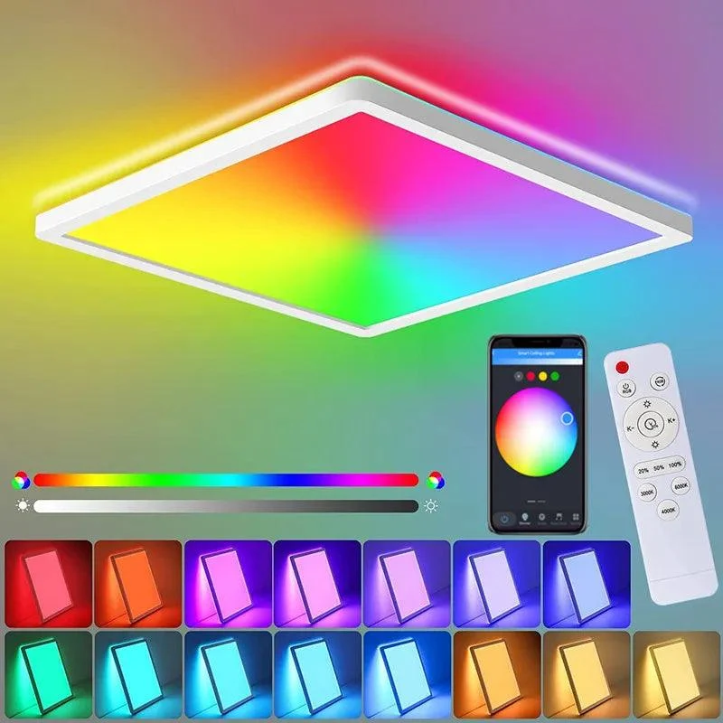 Luminaire Plafonnier / WONDERFUL
