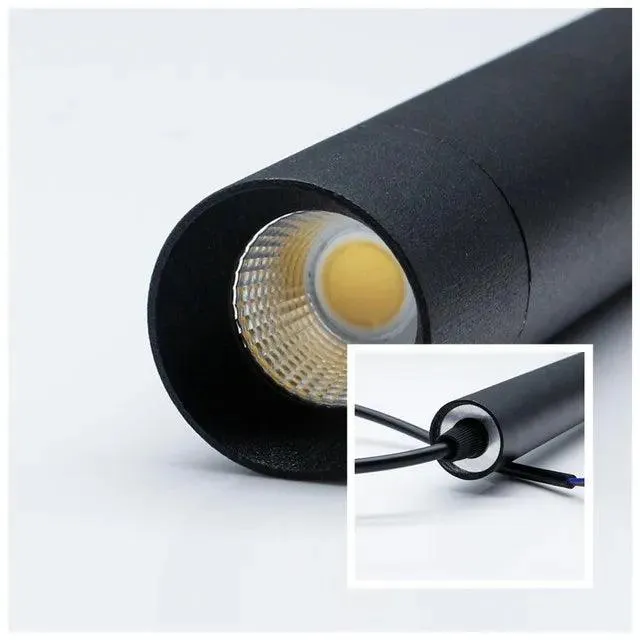Luminaire Plafonnier / NEMA