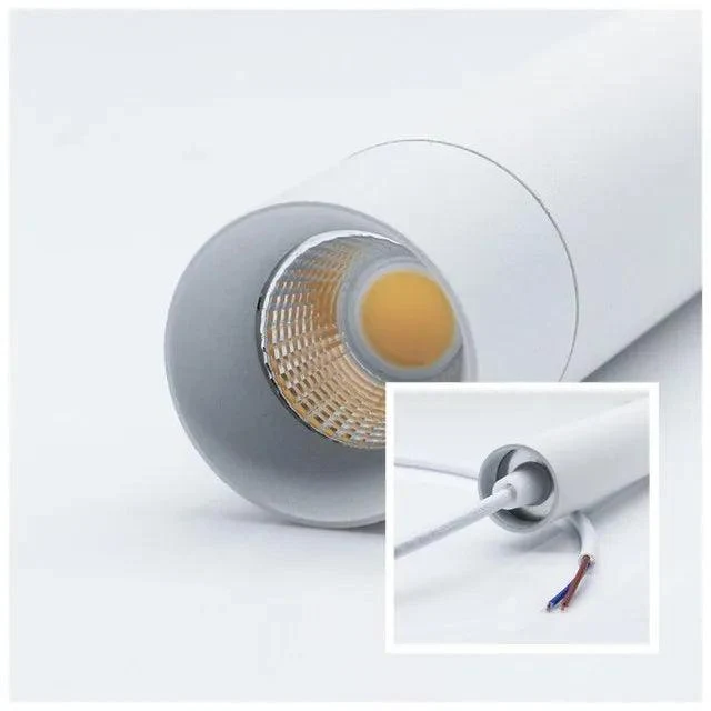 Luminaire Plafonnier / NEMA