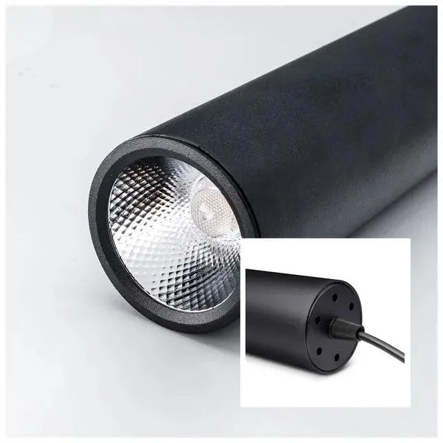 Luminaire Plafonnier / NEMA