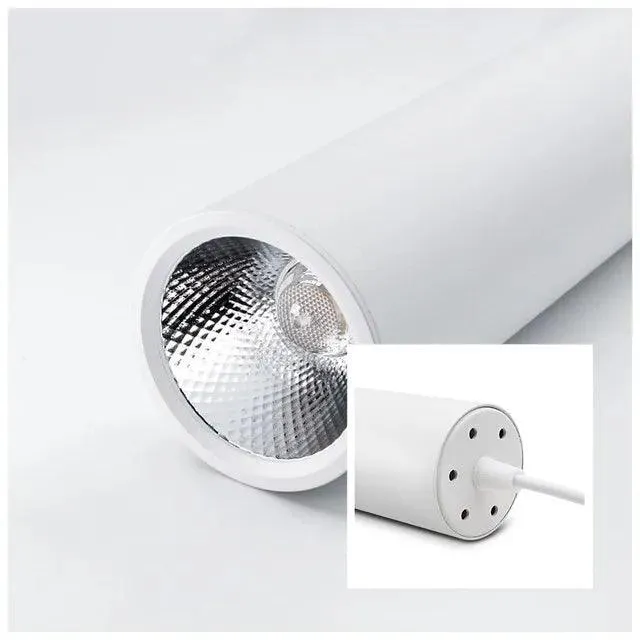 Luminaire Plafonnier / NEMA