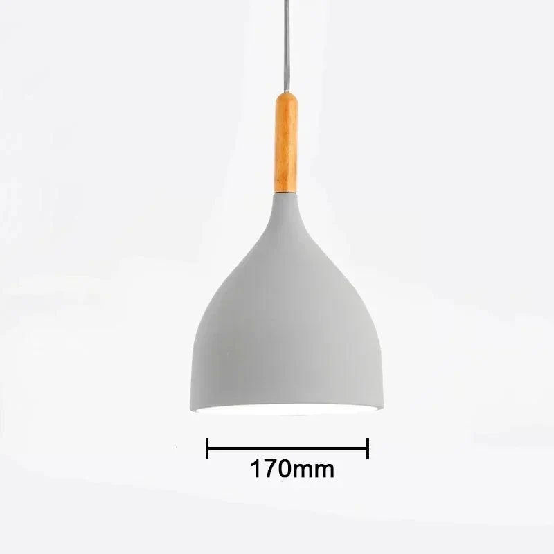 Luminaire Suspendu / RAYOR