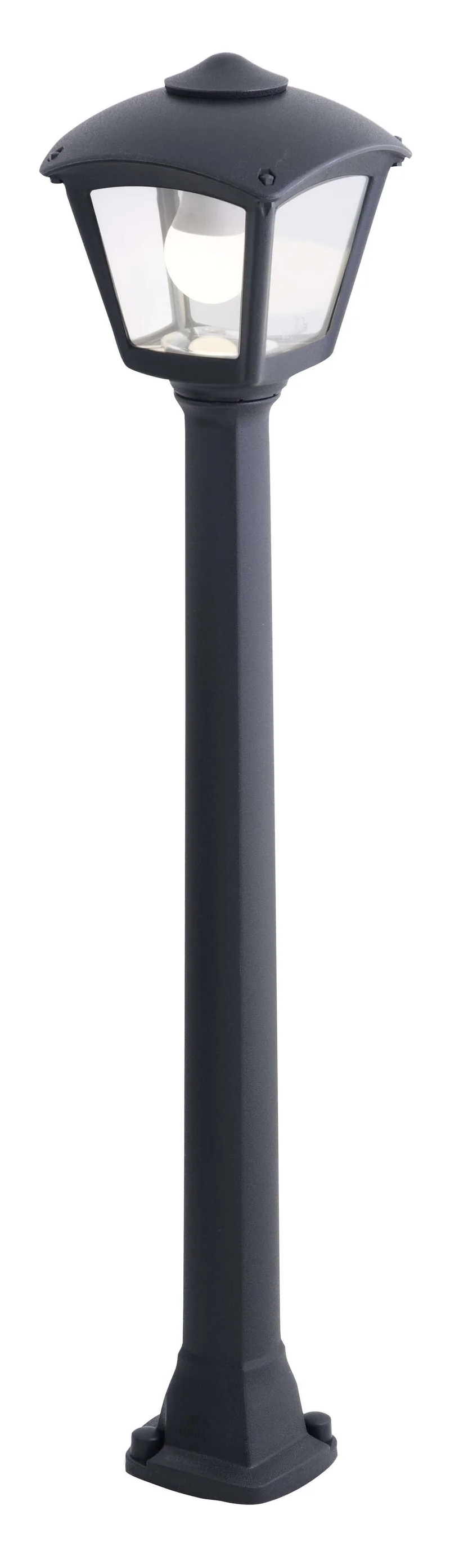 Larici paletto 100cm