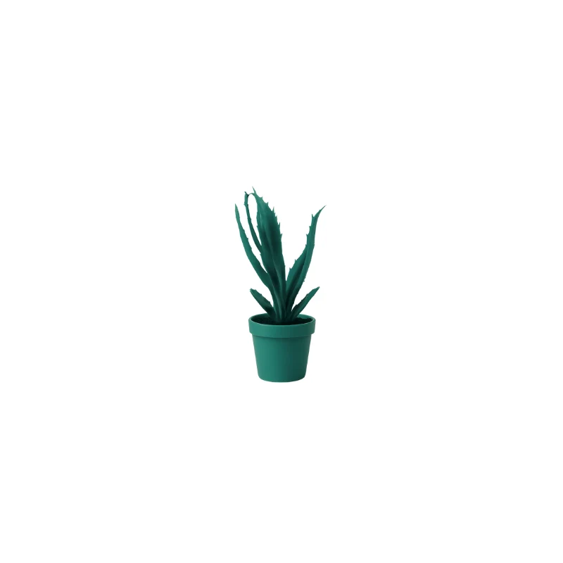Aloe scultura L 15 H22cm