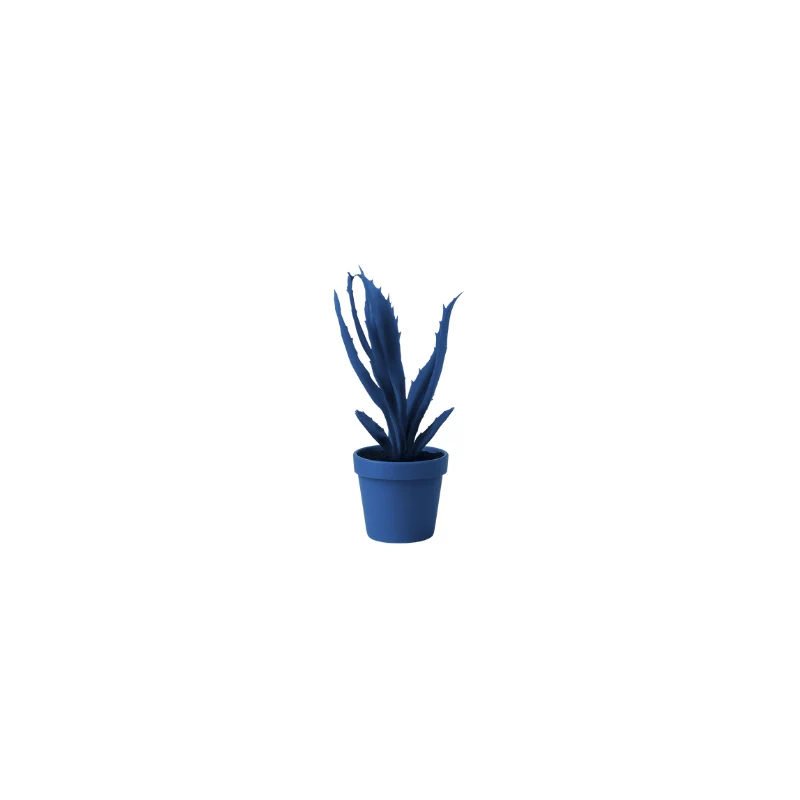Aloe scultura L 15 H 22cm