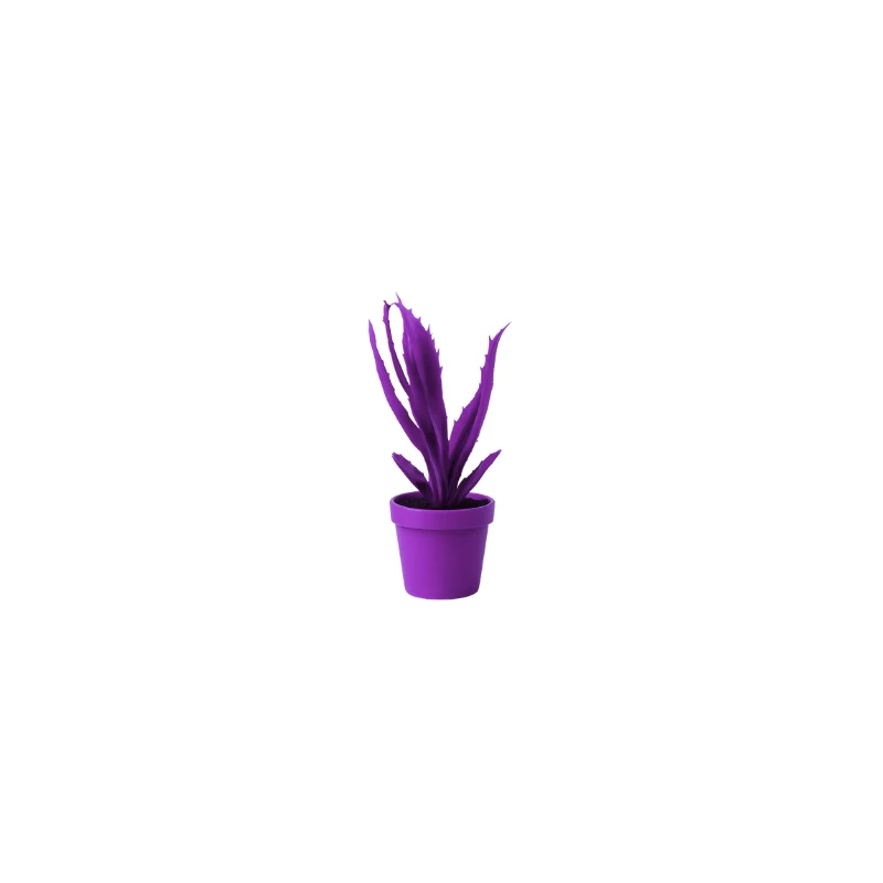 Aloe scultura L 15 H22cm