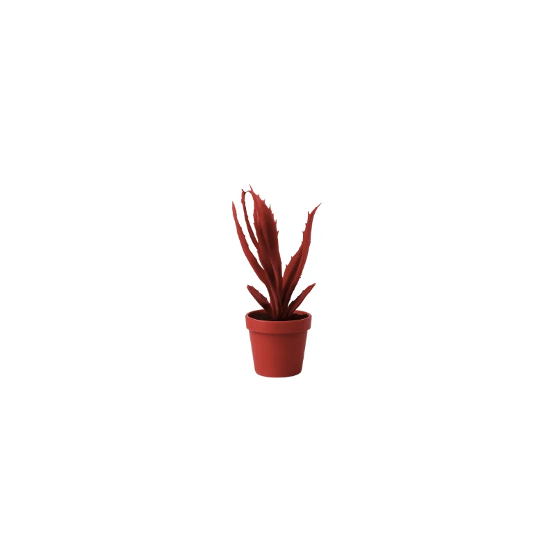 Aloe scultura L15 H22cm